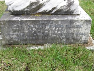 Mount Joy Cemetery : Alfred Edgar Tayler